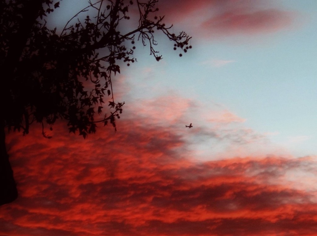 Expectations (A Poem)