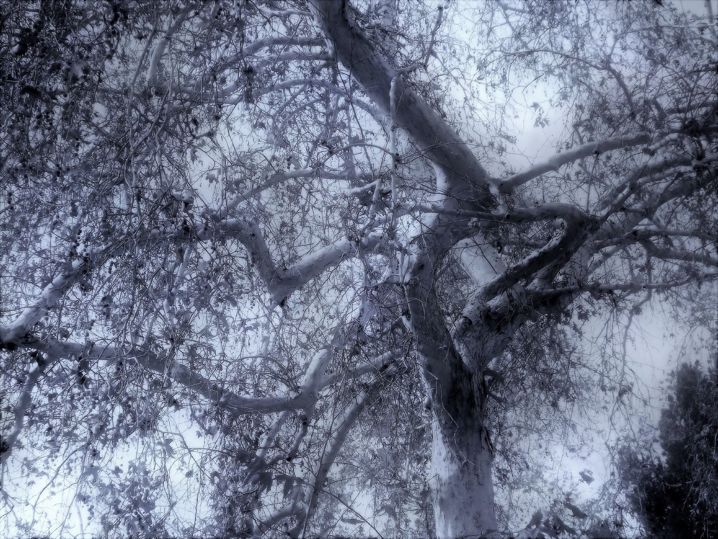 2017-19-1-17-37-21-3