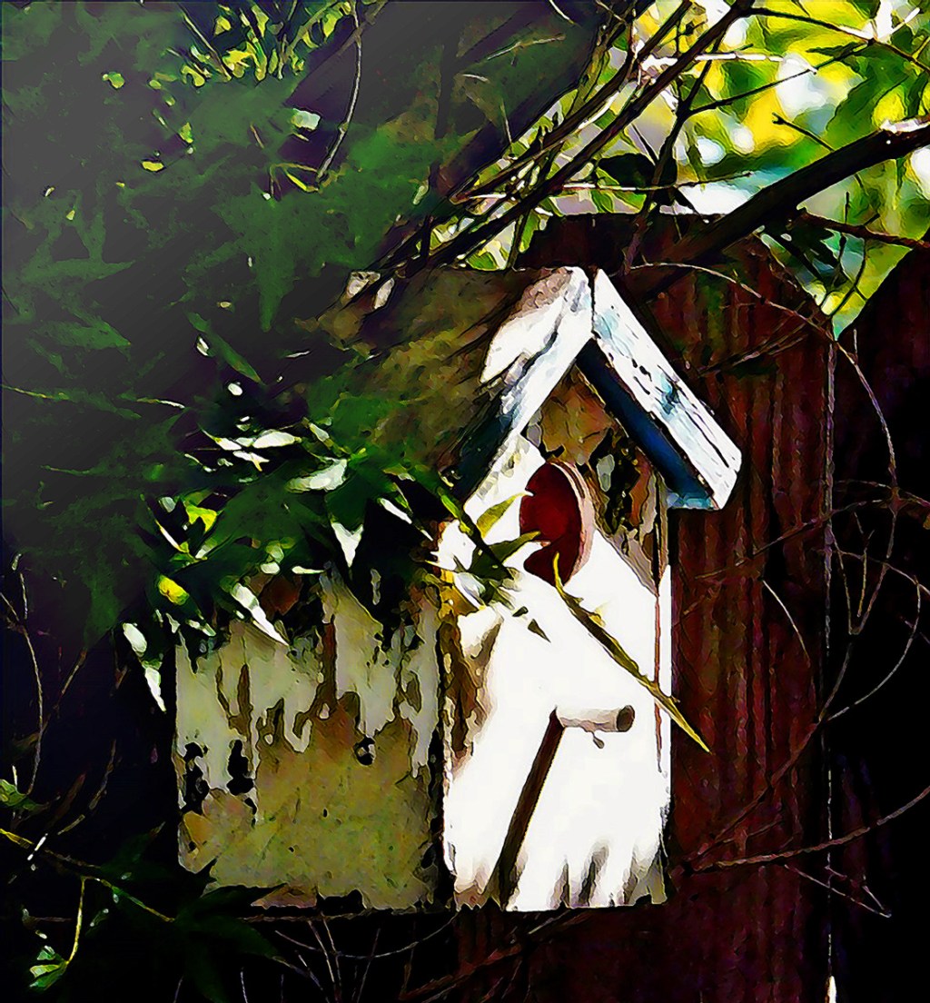 Stealing the Spotlight