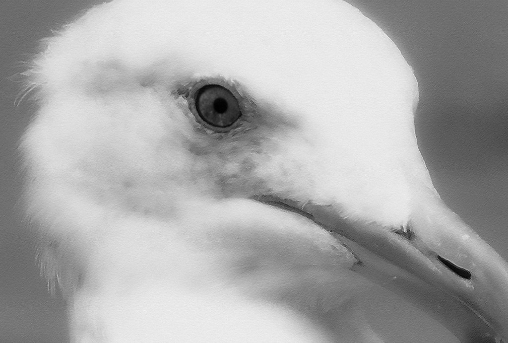 Eye of the&nbsp;Beholder