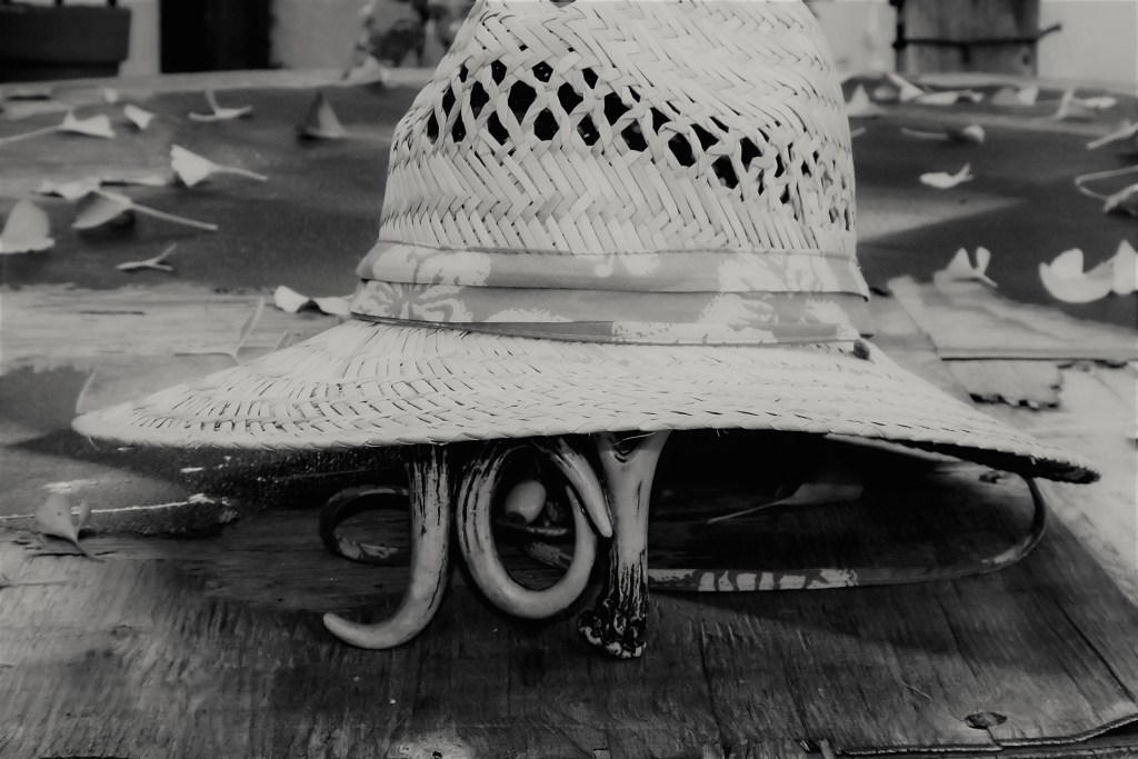 The Jubilant Journey