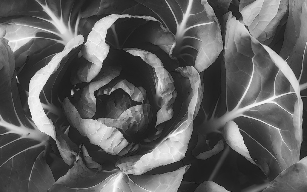 Finding my Muse in&nbsp;Brussels