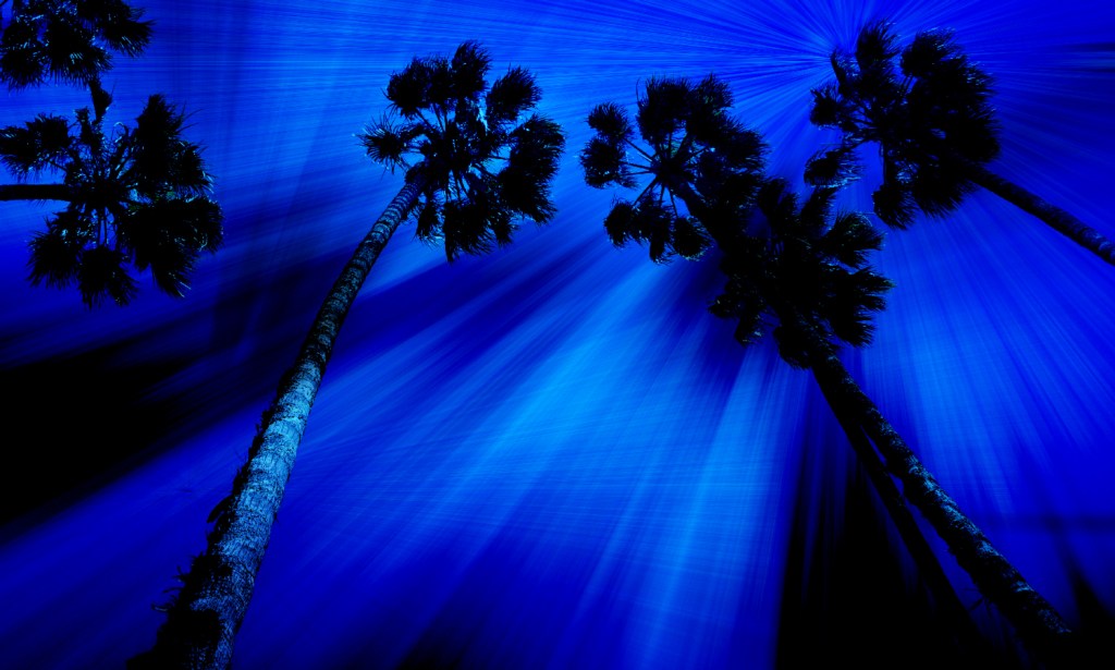 Word to the&nbsp;Wise