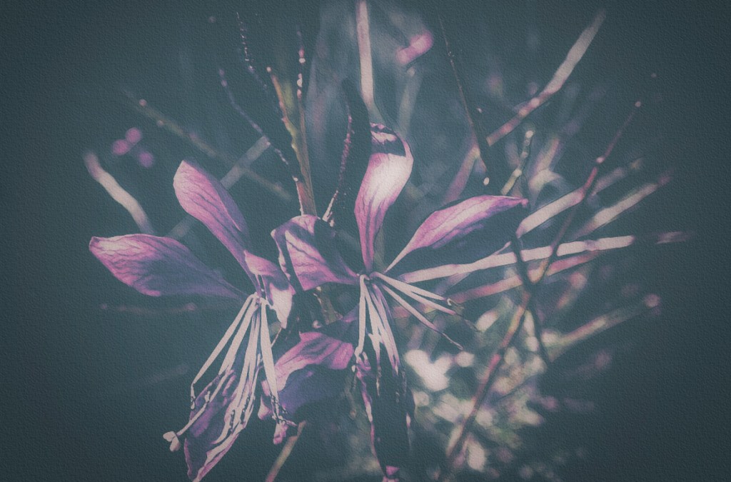 Land of Make&nbsp;Believe