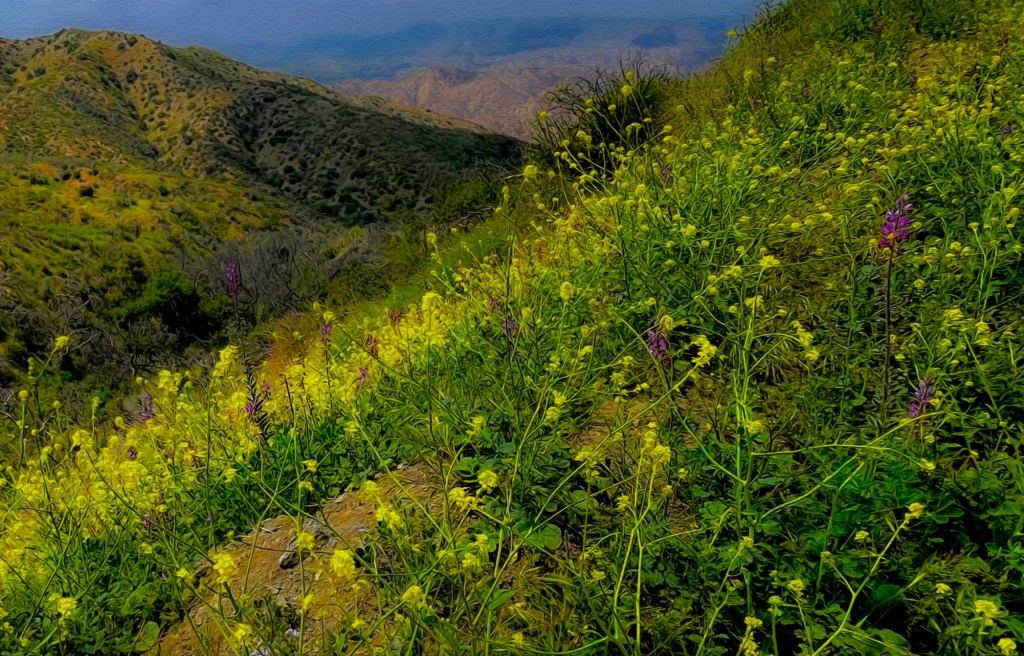 A Jewel of a&nbsp;Journey